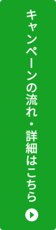 キャンペーンの流れ・詳細はこちら