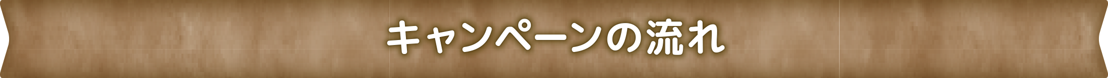キャンペーンの流れ