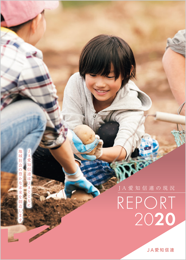 REPORT2020