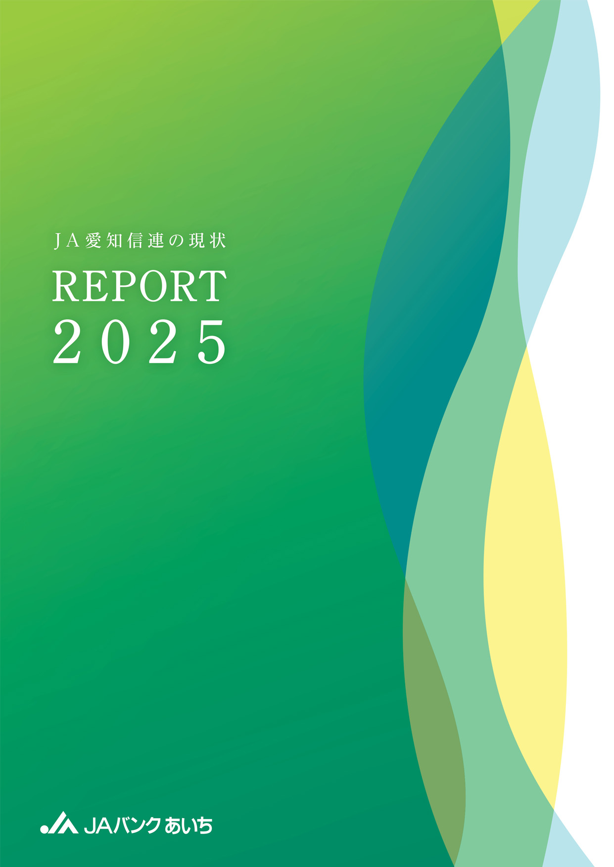 REPORT2025